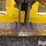 caterpillar-10-image-20