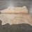 beige-hide-image-4