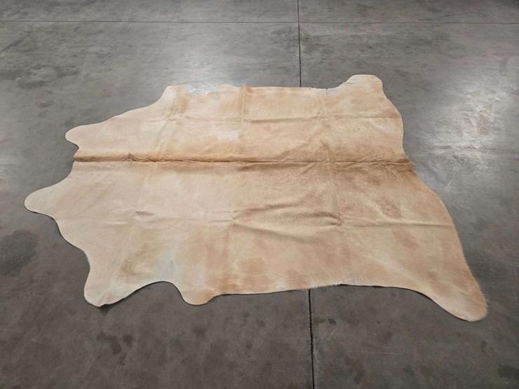 beige-hide-image-4