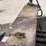 fuel-tank-image-4