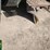 2016-international-workstar-7400-image-17