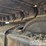 2021-caterpillar-336-image-22