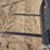 2025-jct-bale-spear-attachment-image-10