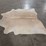 palomino-hide-image-3