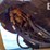 2015-caterpillar-914k-image-21