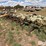 orthman-12-row-liquid-fertilizer-applicator-image-5