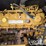 2021-caterpillar-336-image-67