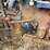 fordson-major-image-60