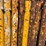 scaffolding-on-carring-cage.-image-6