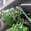 2020-john-deere-3039r-image-17