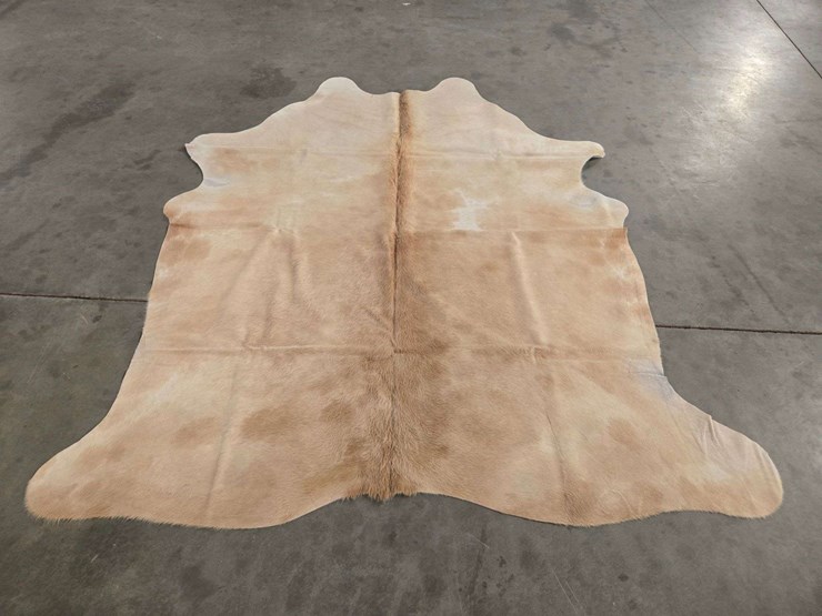 beige-hide-image-2