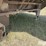 1975-muv-all-lowboy-image-14