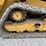 caterpillar-259d-image-14