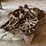 ford-model-t-image-7