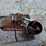 1992-ditch-witch-ht100jd-image-22