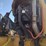 volvo-a30g-image-24