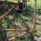 allis-chalmers-1400-image-15