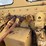 caterpillar-12-image-15