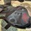 2006-case-ih-wdx2302-image-14