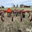 bush-hog-1550-image-6