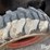 bobcat-7753-image-16