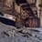 2012-caterpillar-303.5e-cr-image-36