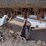 2021-bobcat-t76-image-17