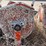 masonary-site-mixer-image-1