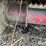 2015-case-ih-rd163-image-16
