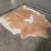 beige-and-white-hide-image-7