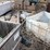 patio-and-building-bricks-image-37