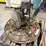 #2033-•-wacker-walk-behind-power-trowel-image-6
