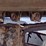 bobcat-t870-image-16