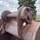 #5002-•-excavator-bucket-image-13