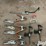 vise-grips-&-clamps-image-11