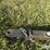 2024-cr-industrial-ht-46-t/a-header-trailer-image-9