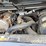 2018-takeuchi-tl8-image-23