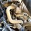 2021-caterpillar-259d3-image-39