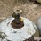 100lb-propane-tanks-image-11