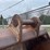 #5001-•-excavator-bucket-image-12