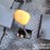 terex-6-ton-swivel-skip-dumper,-roll-bar-image-18