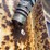 #5055-•-ingersoll-rand-v46-hydraulic-hammer-breaker-unit-image-12