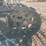 #1205-•-unused-future-ft13-mini-excavator*-image-15