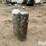 100lb-propane-tanks-image-5