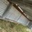 calf-shed-image-20