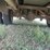 2000-gmc-3500-image-7