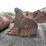 #5002-•-excavator-bucket-image-4