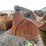 #5013-•-excavator-bucket-image-2