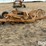 soil-mover-sm35-scraper-image-4