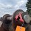 #5007-•-excavator-bucket-image-12